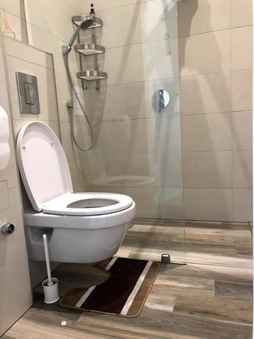 Renovated And Spacious Two-bedroom In Budapeszt